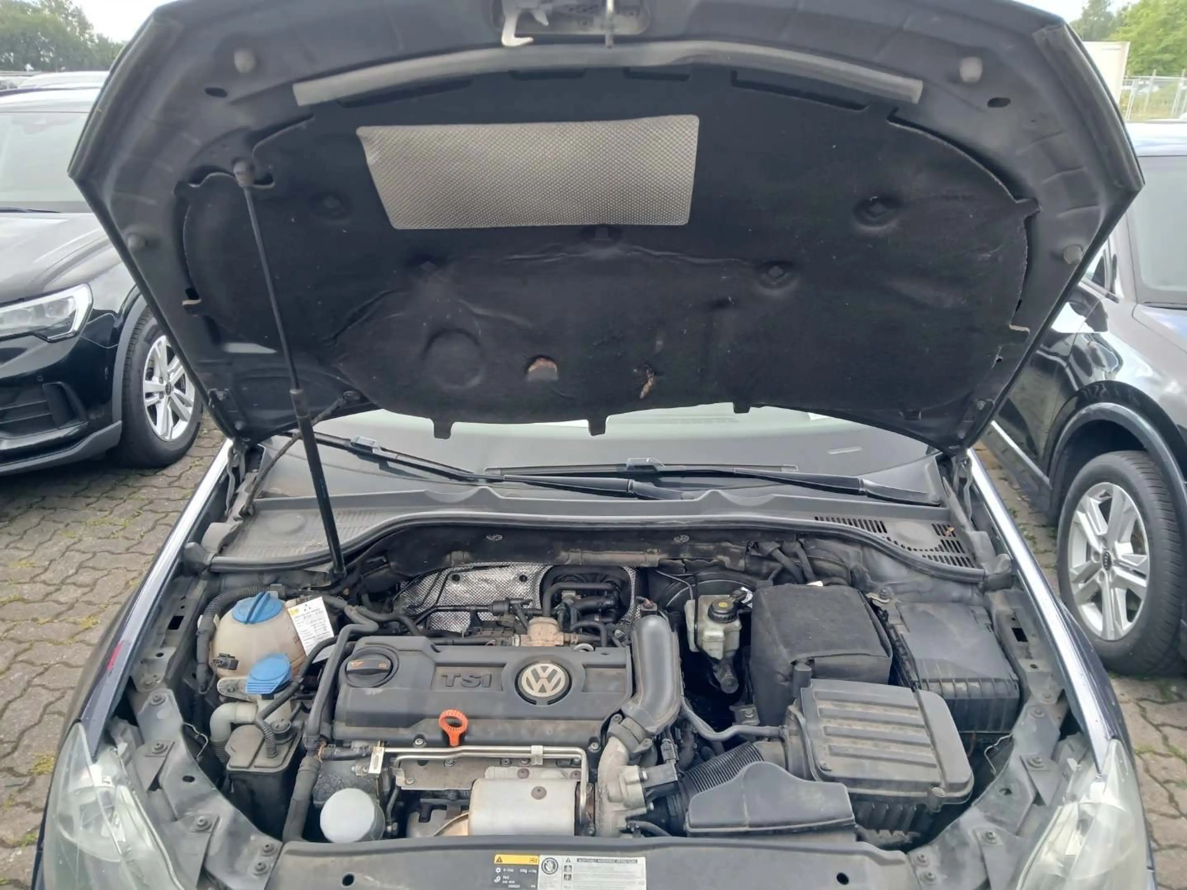 Volkswagen Golf Cabriolet Golf Cabrio 1.4 TSI — photo 15
