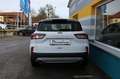 Ford Kuga COOL & CONNECT 120 PS EcoBlue Automatik (STYLE-... Blanc - thumbnail 5