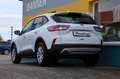 Ford Kuga COOL & CONNECT 120 PS EcoBlue Automatik (STYLE-... Blanc - thumbnail 4