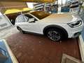 Audi A4 allroad A4 V 2019 Allroad Quattro 40 2.0 tdi mhev Bianco - thumbnail 8
