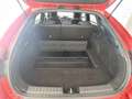 Kia ProCeed / pro_cee'd GT-Line, Kia Garantie, unfallfrei, Bi-LED, Kamera Rot - thumbnail 22