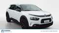 Citroen C4 Cactus Cactus 1.5 BlueHDi Feel Bianco - thumbnail 2
