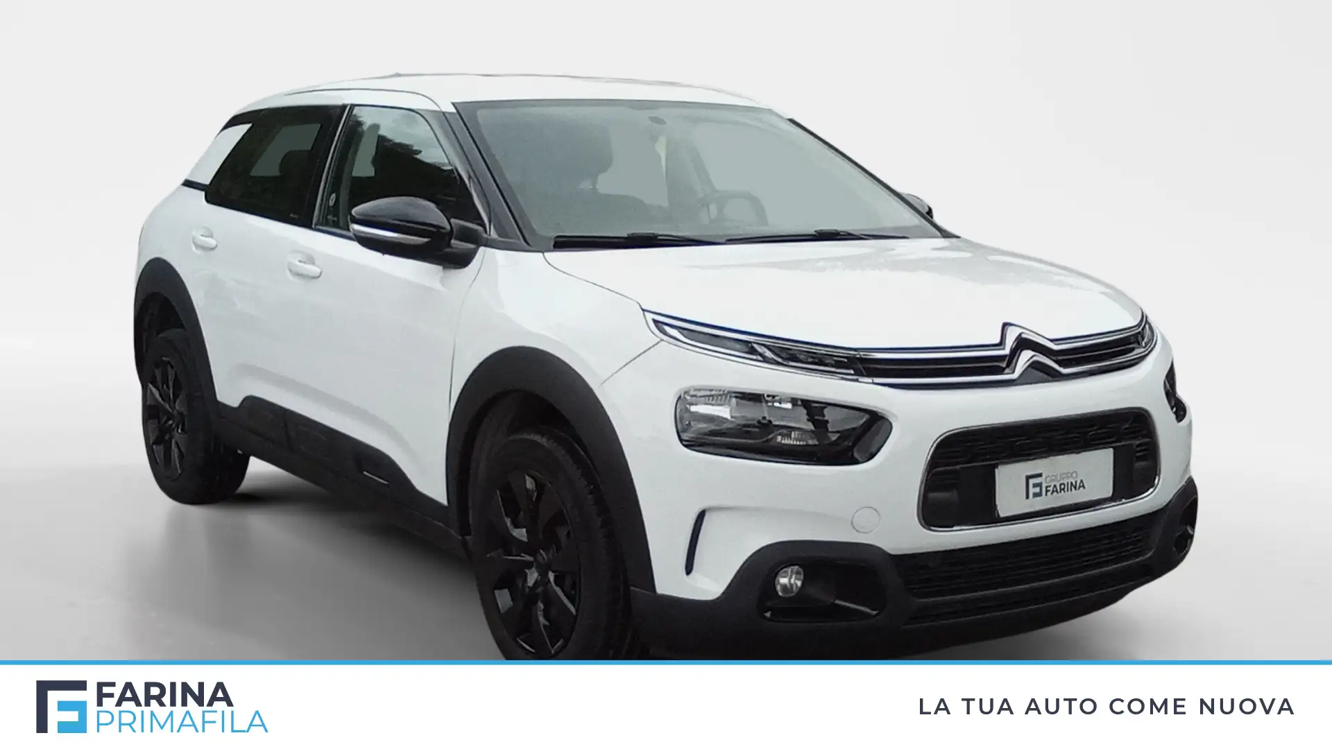 Citroen C4 Cactus Cactus 1.5 BlueHDi Feel Bianco - 2