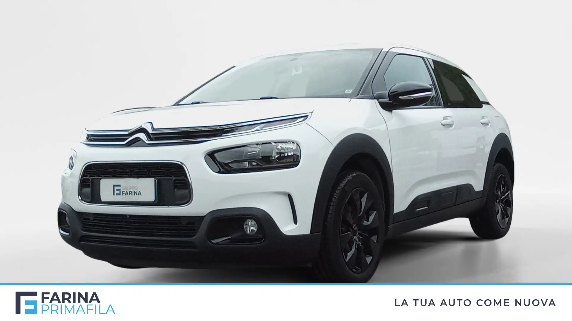Citroen C4 Cactus Cactus 1.5 BlueHDi Feel Bianco - 1