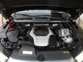 Audi SQ5 3.0 TFSI quattro Head-up-D.+ Luftfahrw. Gris - thumbnail 20