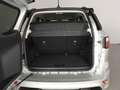 Ford EcoSport 1.0 EcoBoost ST Line 125 Plateado - thumbnail 14