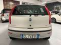 Fiat Punto 5 PORTE OK NEOPATENTATI Silber - thumbnail 8