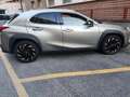 Lexus UX 200 UX 250h 2.0 Premium 2wd cvt Oro - thumbnail 4