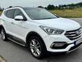 Hyundai SANTA FE Santa Fe Diesel 2.0 CRDI 4WD Premium / GSD Blanc - thumbnail 3
