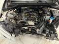 Audi Q2 30 TFSI basis Blanco - thumbnail 7