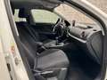 Audi Q2 30 TFSI basis Blanco - thumbnail 11