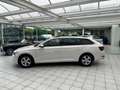 Skoda Superb Combi Ambition Neue Wartung,Kamera, Wit - thumbnail 1