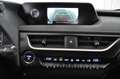 Lexus UX 300e 300e Komfort-Paket LED/CAR-PLAY/KAMERA/17 Grau - thumbnail 15