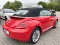 Volkswagen Beetle Cabriolet Design BMT*BiXenon*PDC*TEMP*SHZ Rot - thumbnail 10