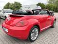 Volkswagen Beetle Cabriolet Design BMT*BiXenon*PDC*TEMP*SHZ Rot - thumbnail 4