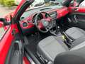 Volkswagen Beetle Cabriolet Design BMT*BiXenon*PDC*TEMP*SHZ Rot - thumbnail 16