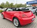 Volkswagen Beetle Cabriolet Design BMT*BiXenon*PDC*TEMP*SHZ Rot - thumbnail 6