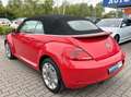 Volkswagen Beetle Cabriolet Design BMT*BiXenon*PDC*TEMP*SHZ Rot - thumbnail 8