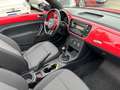 Volkswagen Beetle Cabriolet Design BMT*BiXenon*PDC*TEMP*SHZ Rot - thumbnail 13