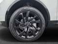 Land Rover Discovery D250 R-Dynamic S 183 kW, 5-türig (Diesel Weiß - thumbnail 9