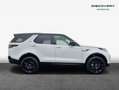 Land Rover Discovery D250 R-Dynamic S 183 kW, 5-türig (Diesel Weiß - thumbnail 6