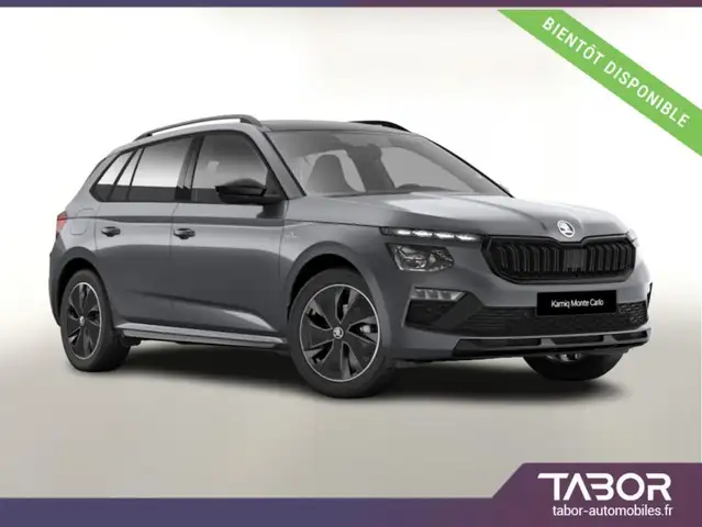 Skoda Kamiq 150 DSG Monte Pano Matrix ACC SideA