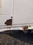Volkswagen T3 California - thumbnail 13