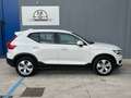 Volvo XC40 XC40 2.0 d3 Momentum Pro Aut. IVA ESPOSTA Bianco - thumbnail 8