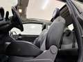 Fiat 500C 1,2 69 500S Start&Stop Grau - thumbnail 14