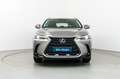 Lexus NX 300 300h Business 2WD Gris - thumbnail 2