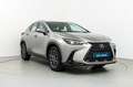 Lexus NX 300 300h Business 2WD Gris - thumbnail 3
