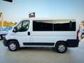 Fiat Ducato 8+1 Posti Unico Proprietario Garanzia 24 Mesi - thumbnail 6
