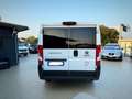 Fiat Ducato 8+1 Posti Unico Proprietario Garanzia 24 Mesi - thumbnail 8