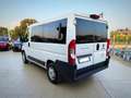 Fiat Ducato 8+1 Posti Unico Proprietario Garanzia 24 Mesi - thumbnail 4