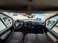Fiat Ducato 8+1 Posti Unico Proprietario Garanzia 24 Mesi - thumbnail 13