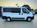 Fiat Ducato 8+1 Posti Unico Proprietario Garanzia 24 Mesi - thumbnail 5