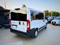 Fiat Ducato 8+1 Posti Unico Proprietario Garanzia 24 Mesi - thumbnail 3