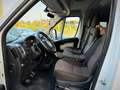 Fiat Ducato 8+1 Posti Unico Proprietario Garanzia 24 Mesi - thumbnail 9