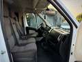 Fiat Ducato 8+1 Posti Unico Proprietario Garanzia 24 Mesi - thumbnail 14