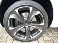 CUPRA Ateca 2.0 TSI DSG 4DRIVE PANORAMAD.+BEATS+ACC Weiß - thumbnail 10