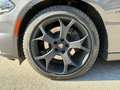 Dodge Charger 5.7 V8 R/T Grau - thumbnail 43
