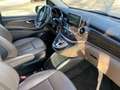 Mercedes-Benz V 220 V 300 d AVANTGARDE 4MATIC kompakt (447.811) Grau - thumbnail 18