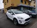 Ford Fiesta 1.0 EcoBoost Active AHK PDC Winterpaket Weiß - thumbnail 1