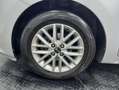 Kia Rio 1.2 MPi 84 CV Urban Edition Business Gris - thumbnail 13