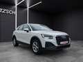 Audi Q2 35 TFSI S-tronic LED Navi PDC SH Weiß - thumbnail 8