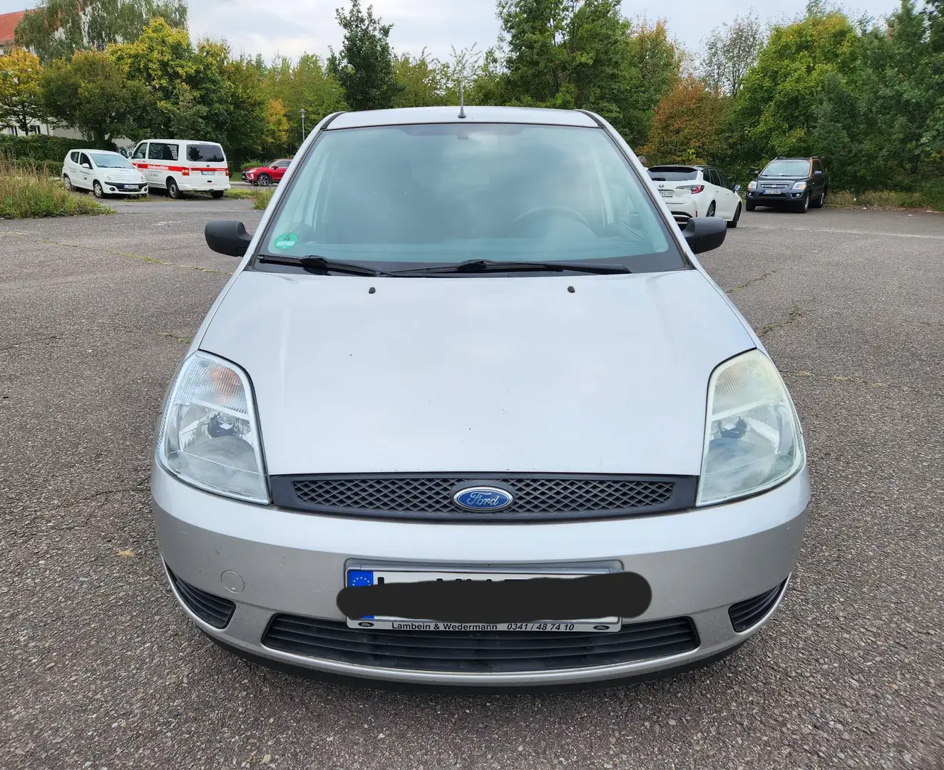 Ford Fiesta 1.3 51kW Viva Viva Grau - 2