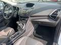 Ford Kuga 2.0 TDCI 136CH TITANIUM PACK SPORT / XENON Blanc - thumbnail 12