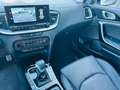 Kia Ceed SW / cee'd SW Ceed Sportswagon 1.5T DCT7 Platinum GLASDACH Weiß - thumbnail 14