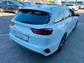 Kia Ceed SW / cee'd SW Ceed Sportswagon 1.5T DCT7 Platinum GLASDACH Weiß - thumbnail 6