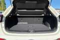 Nissan Qashqai 1.5 dci N-Connecta 115cv dct Bianco - thumbnail 15